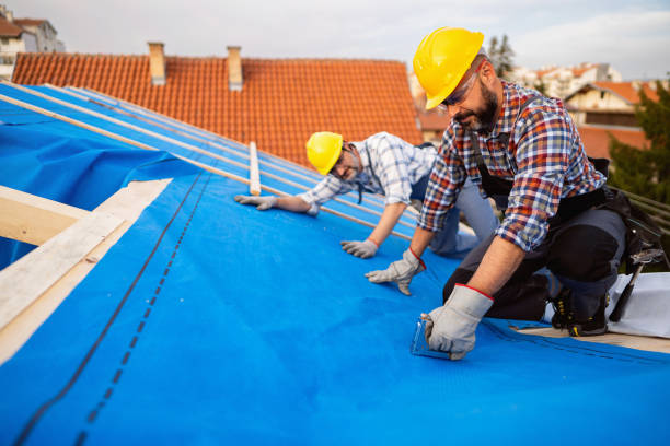 Best Gutter Installation and Roofing  in Boutte, LA